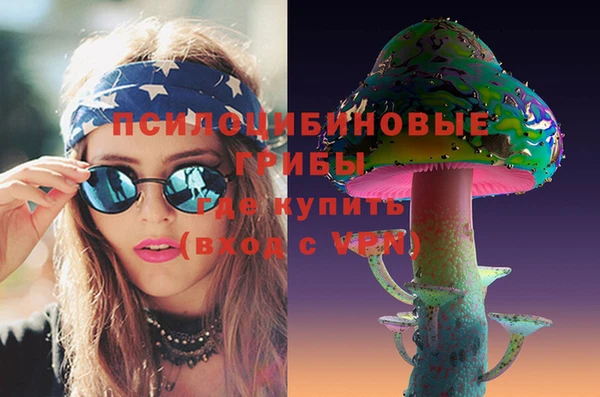 спайс Баксан