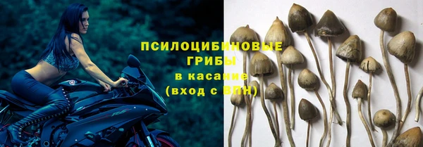 гашишное масло Беломорск